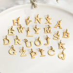 Load image into Gallery viewer, tos-useast2a-i-tulkllf4y5-euttp/0e1c2462fdbe4c8aa7e157b44414a68a
