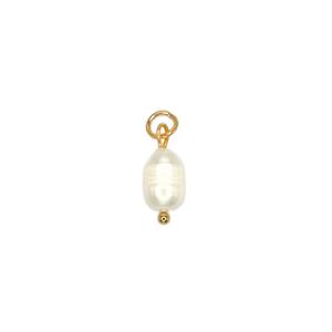 Charm Collection - Stainless Steel - 18K Gold Plated Charms - Customisable Necklace
