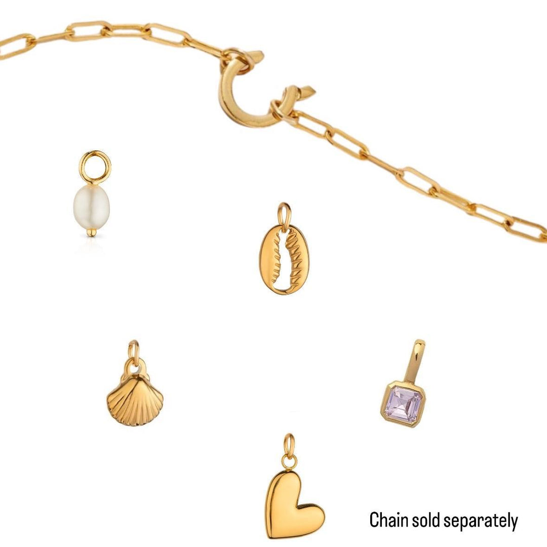 Charm Collection - Stainless Steel - 18K Gold Plated Charms - Customisable Necklace