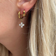 tos-useast2a-i-tulkllf4y5-euttp/f862075005a742a48394cea9e459bf39